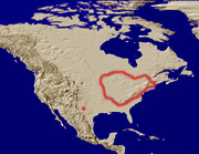 nicagusmap