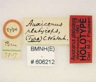 labels