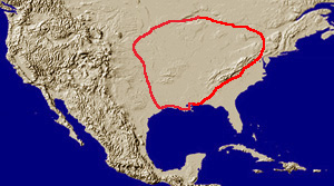 placidus map