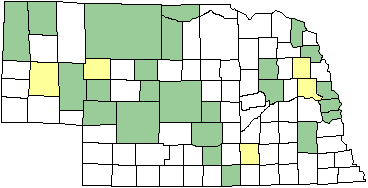 Lance-tipped Darner map