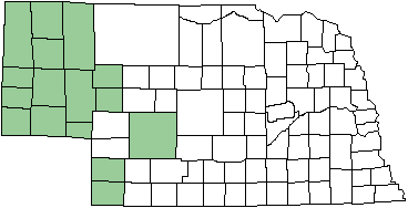 Plains Forktail map