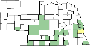 Citrine Forktail map