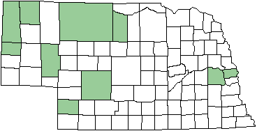 Four-spotted Skimmer map