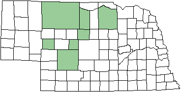 Sedge Sprite map