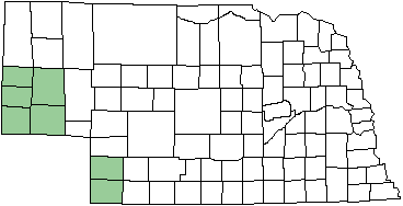 Desert Whitetail map