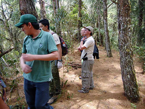 Salida a Iguaque, colectando