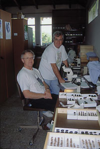 Honduras#1.jpg (27640 bytes)