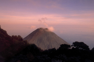 Honduras#5.jpg (19483 bytes)