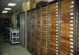 Smithsonian Scarab Collection placed at the UNSM