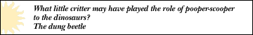 What little critter may have played pooper-scooper to the dinosaurs? The dung beetle.