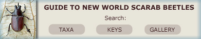 Guide to New World Scarab Beetles