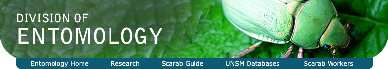 Division of Entomology banner