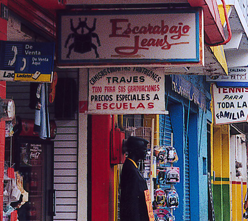 scarabjeans.jpg_1.jpg (145182 bytes)